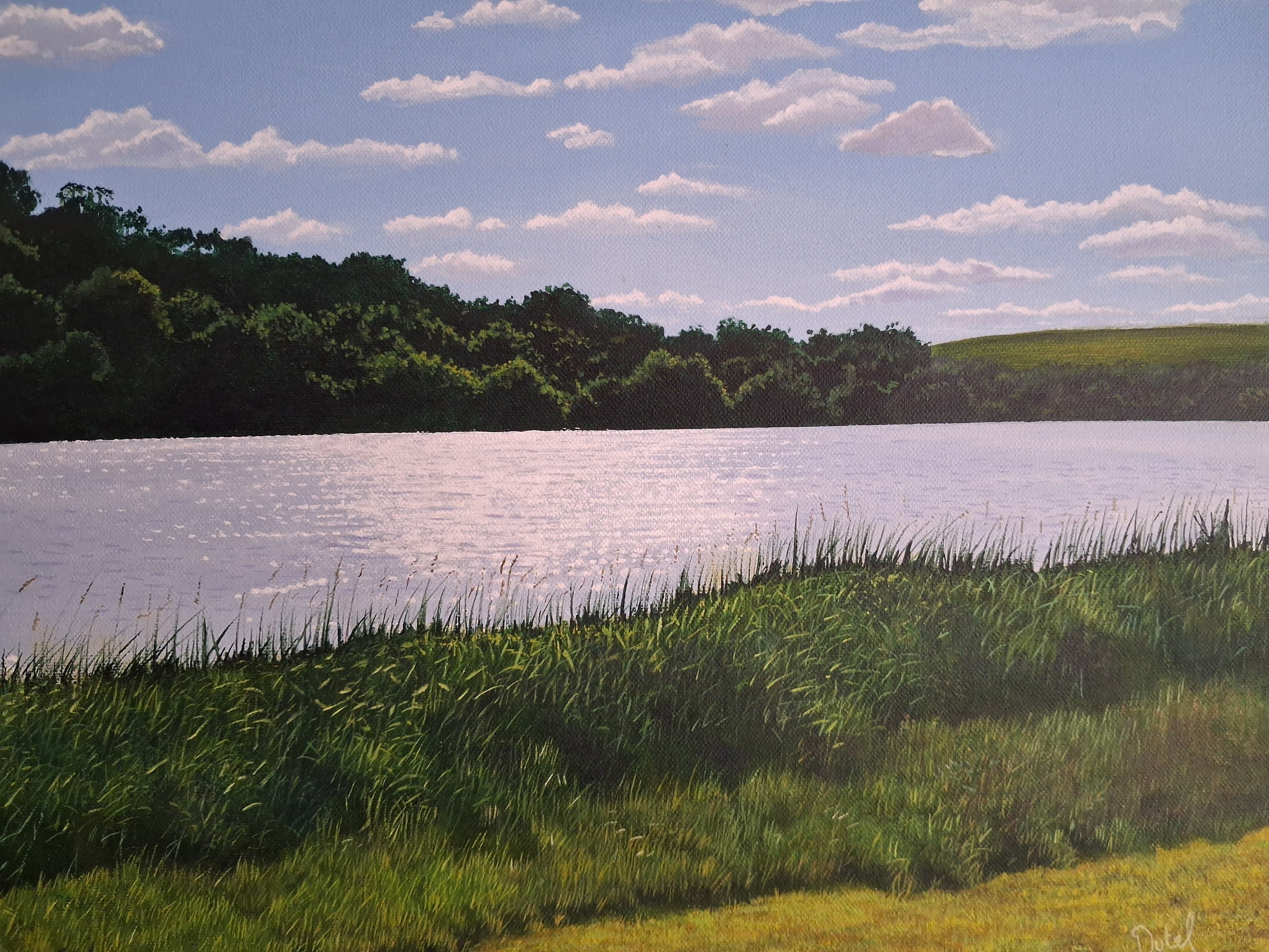 Bord de lac