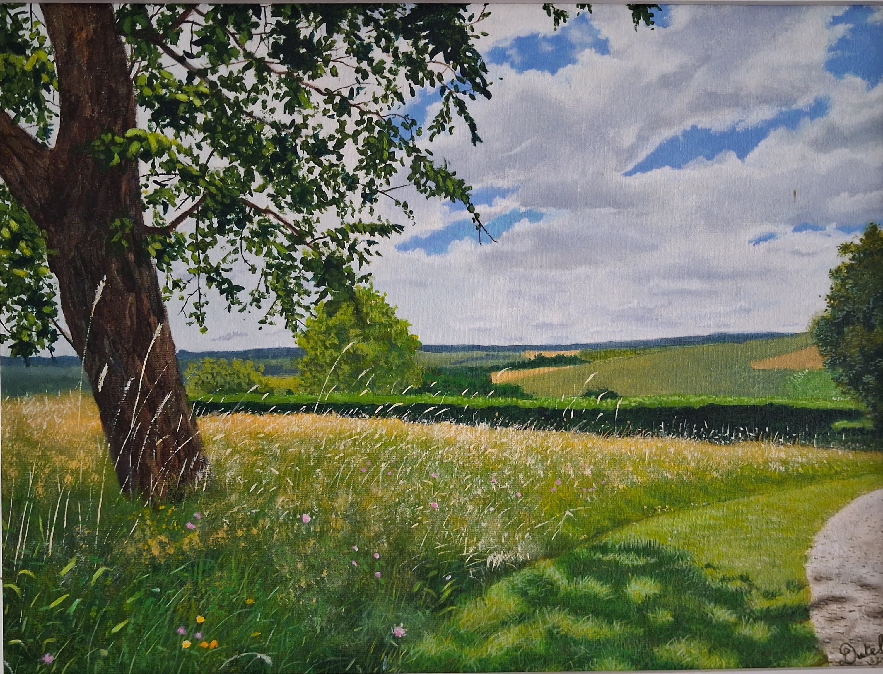 Chemins dans les champs
