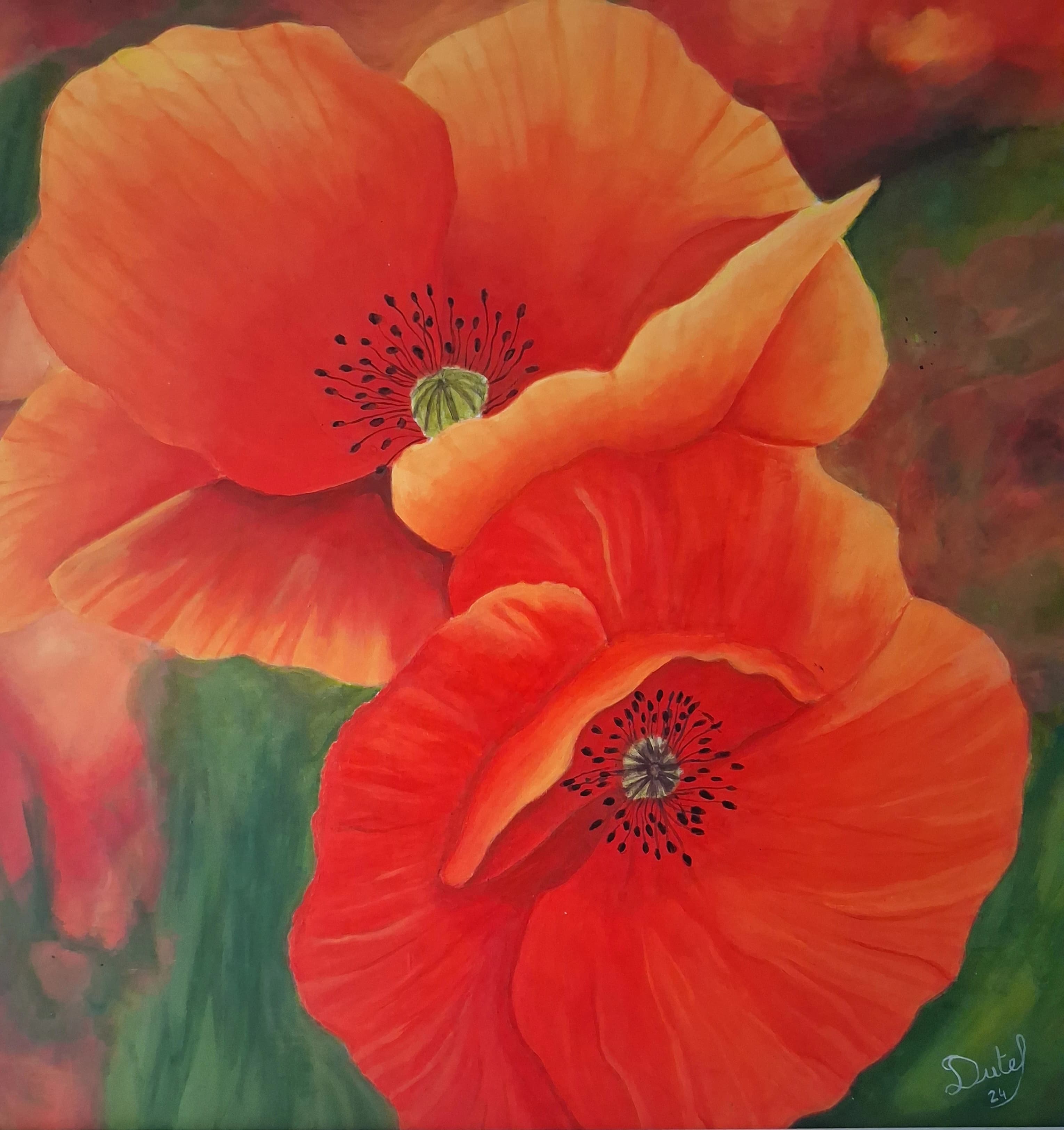 Peinture représentant des coquelicots
